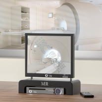 Non magnetic monitoring system
